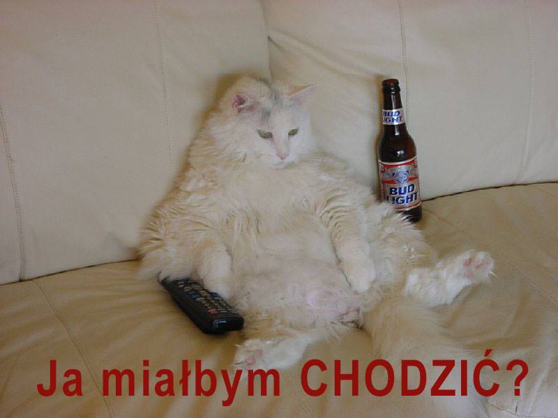 12744449_10209253175033258_1773609489175226997_n