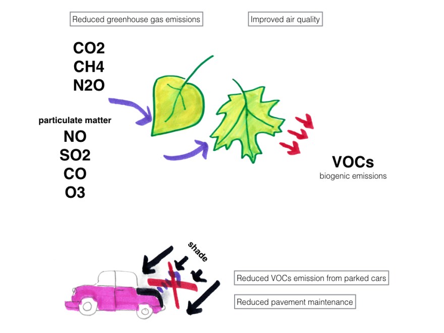 Sustainable City_03_s.003
