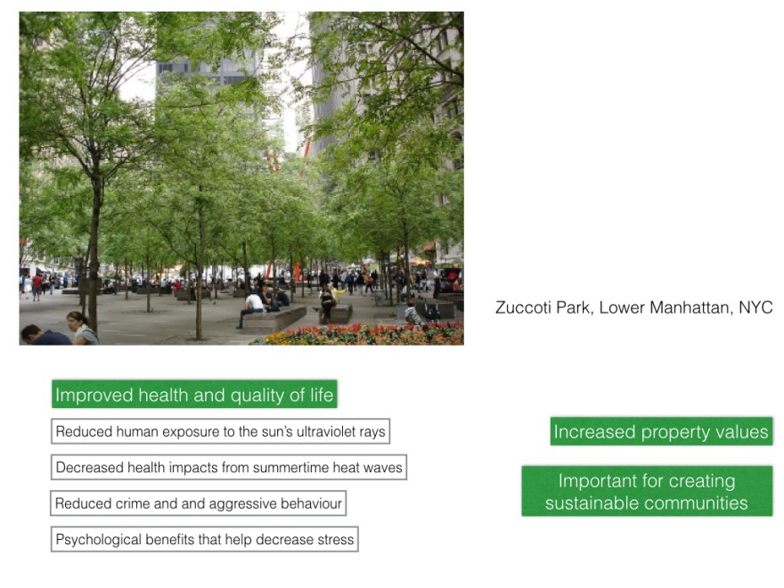 Sustainable City_03_s.006