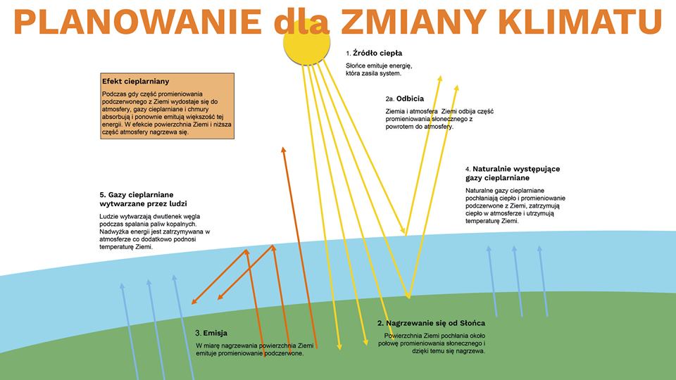 60735525_2333358333396443_5408772025181274112_n